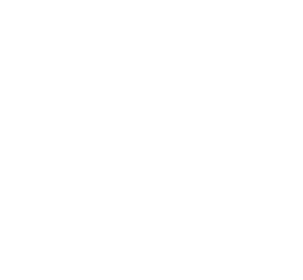 Web StoryBrand Guide Badge White
